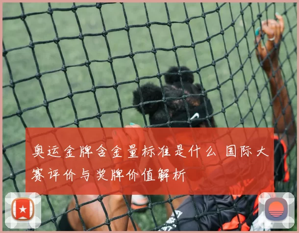 奥运金牌含金量标准是什么 国际大赛评价与奖牌价值解析