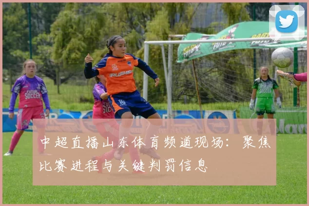 中超直播山东体育频道现场:聚焦比赛进程与关键判罚信息