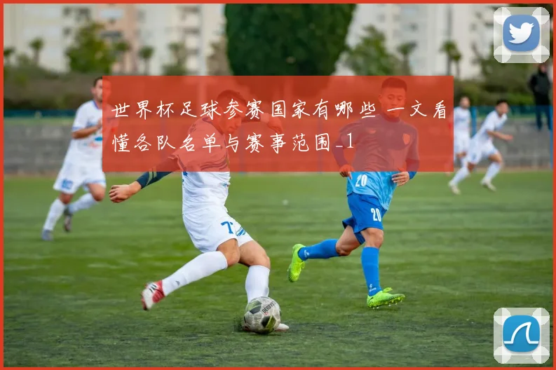 世界杯足球参赛国家有哪些 一文看懂各队名单与赛事范围_1