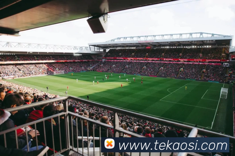 世界杯官方网络平台平台生态图