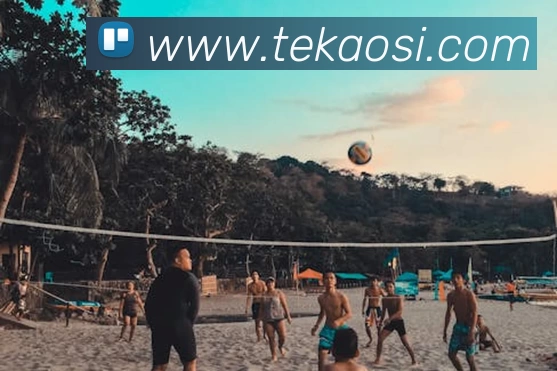 世界杯官方网络平台全站App